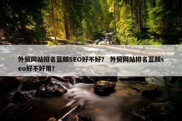 外贸网站排名蓝颜SEO好不好？ 外贸网站排名蓝颜seo好不好用？