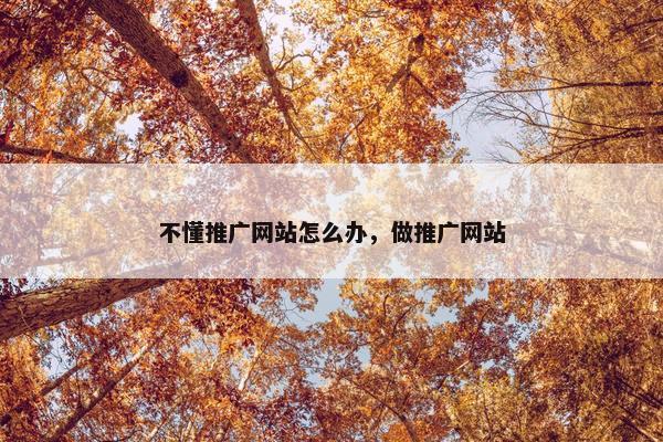 不懂推广网站怎么办，做推广网站