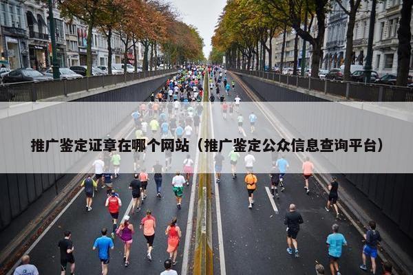 推广鉴定证章在哪个网站（推广鉴定公众信息查询平台）