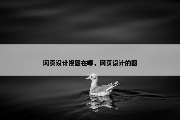 网页设计视图在哪，网页设计的图