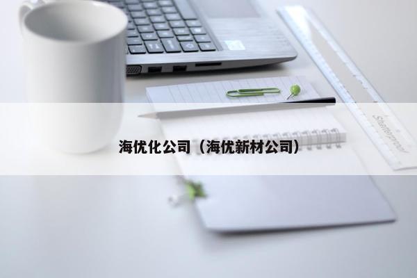 海优化公司（海优新材公司）
