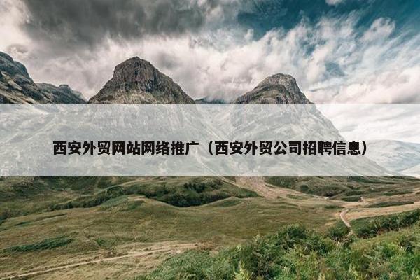 西安外贸网站网络推广（西安外贸公司招聘信息）