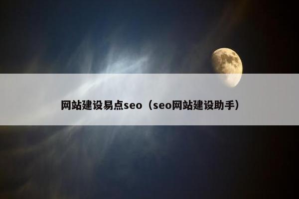 网站建设易点seo（seo网站建设助手）