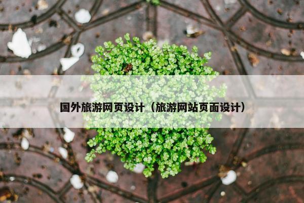 国外旅游网页设计（旅游网站页面设计）