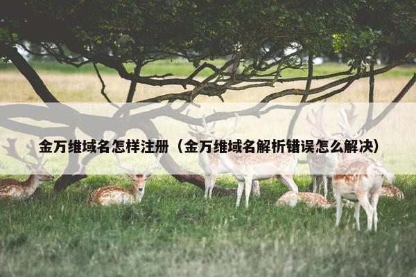 金万维域名怎样注册（金万维域名解析错误怎么解决）