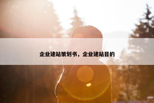 企业建站策划书，企业建站目的
