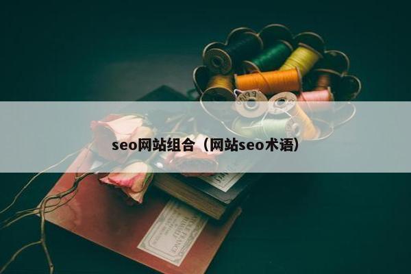 seo网站组合（网站seo术语）
