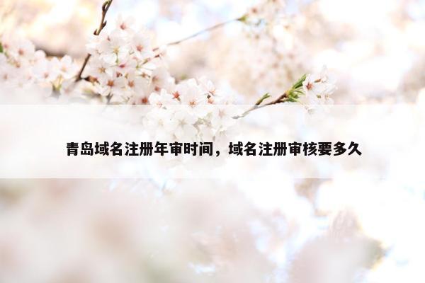 青岛域名注册年审时间，域名注册审核要多久