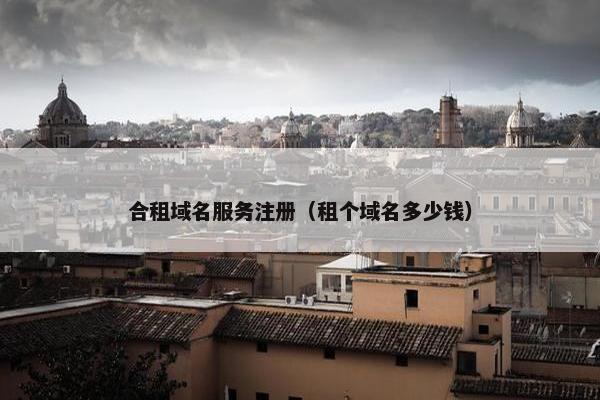 合租域名服务注册（租个域名多少钱）