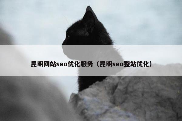 昆明网站seo优化服务（昆明seo整站优化）