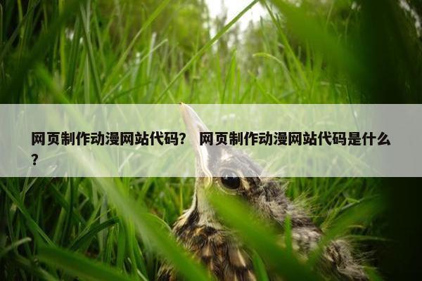 网页制作动漫网站代码？ 网页制作动漫网站代码是什么？