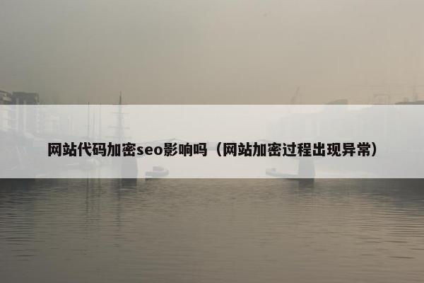 网站代码加密seo影响吗（网站加密过程出现异常）