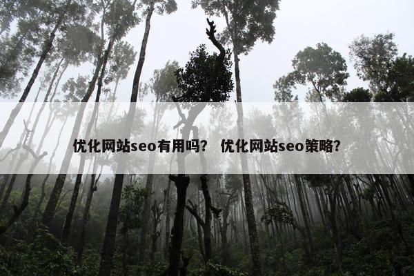 优化网站seo有用吗？ 优化网站seo策略？