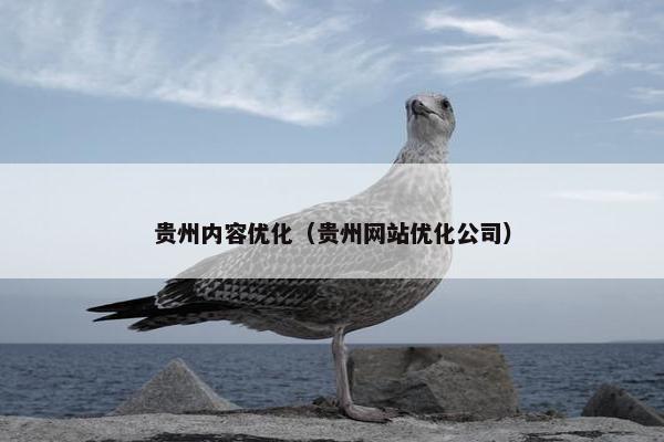 贵州内容优化（贵州网站优化公司）