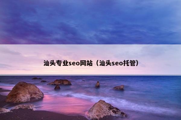 汕头专业seo网站（汕头seo托管）