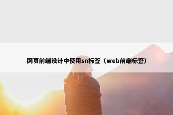 网页前端设计中使用sn标签（web前端标签）