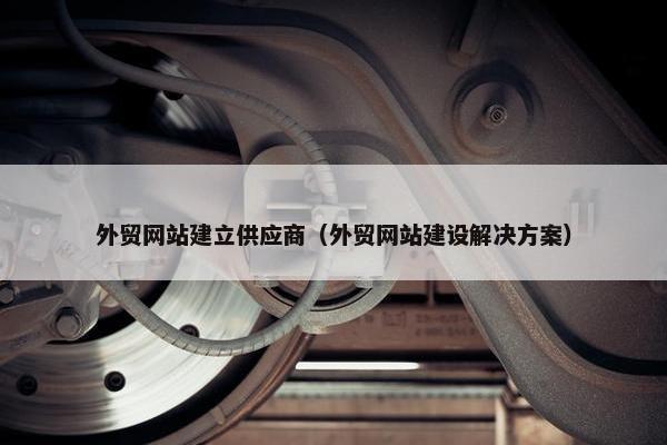 外贸网站建立供应商（外贸网站建设解决方案）