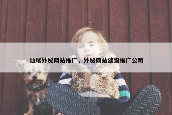 汕尾外贸网站推广，外贸网站建设推广公司
