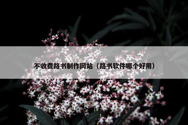 不收费路书制作网站（路书软件哪个好用）