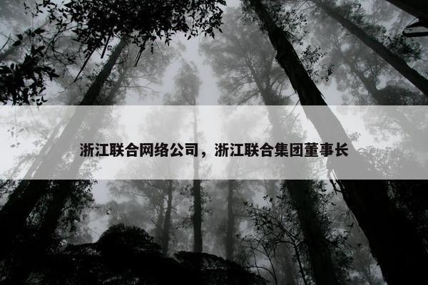 浙江联合网络公司，浙江联合集团董事长