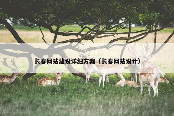 长春网站建设详细方案（长春网站设计）