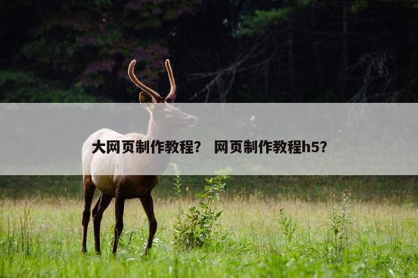 大网页制作教程？ 网页制作教程h5？