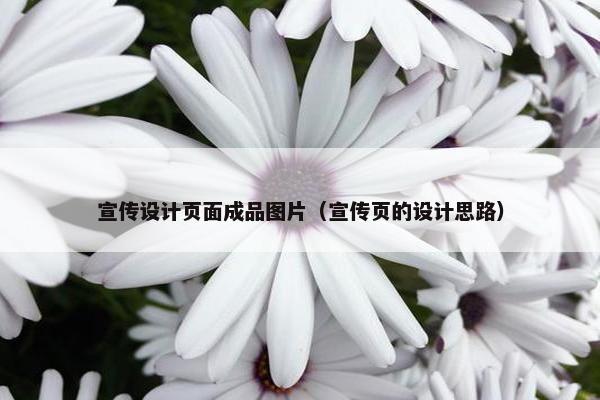 宣传设计页面成品图片（宣传页的设计思路）