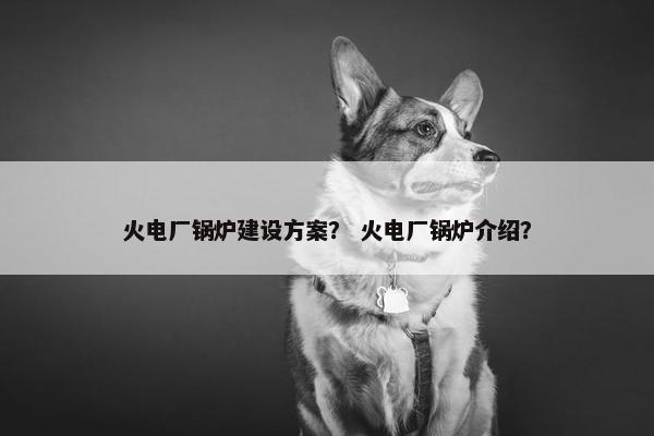 火电厂锅炉建设方案？ 火电厂锅炉介绍？