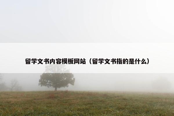 留学文书内容模板网站（留学文书指的是什么）