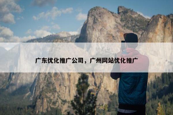 广东优化推广公司，广州网站优化推广