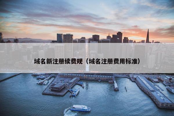 域名新注册续费规（域名注册费用标准）