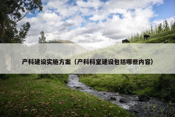 产科建设实施方案（产科科室建设包括哪些内容）