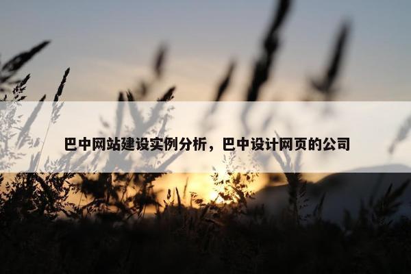 巴中网站建设实例分析，巴中设计网页的公司