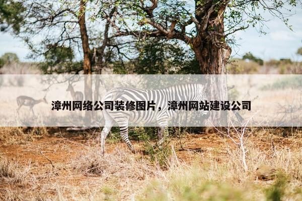 漳州网络公司装修图片，漳州网站建设公司