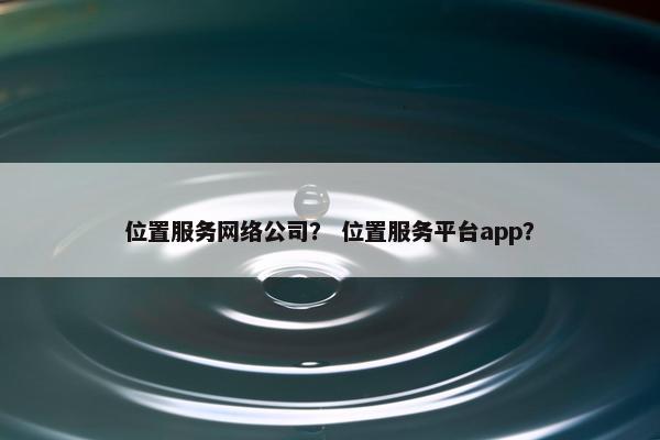 位置服务网络公司？ 位置服务平台app？