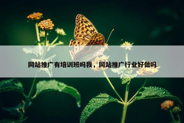 网站推广有培训班吗我，网站推广行业好做吗