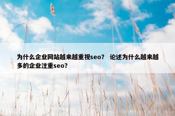 为什么企业网站越来越重视seo？ 论述为什么越来越多的企业注重seo？