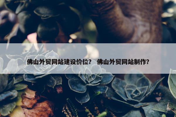 佛山外贸网站建设价位？ 佛山外贸网站制作？