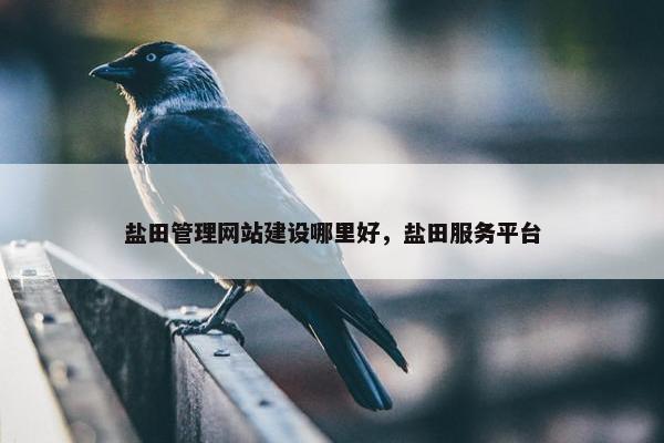 盐田管理网站建设哪里好，盐田服务平台