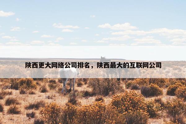 陕西更大网络公司排名，陕西最大的互联网公司