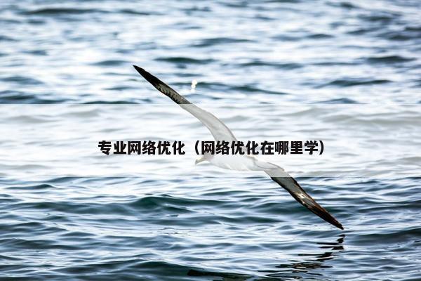 专业网络优化（网络优化在哪里学）
