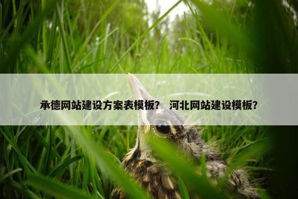承德网站建设方案表模板？ 河北网站建设模板？