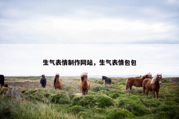 生气表情制作网站，生气表情包包