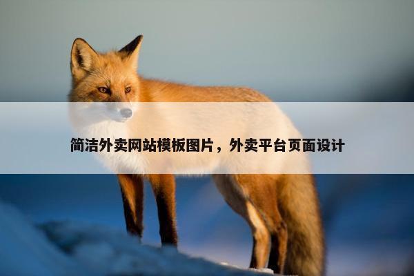 简洁外卖网站模板图片，外卖平台页面设计