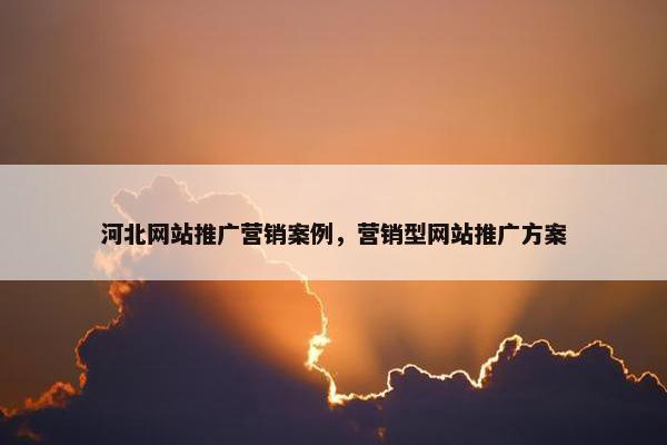 河北网站推广营销案例，营销型网站推广方案