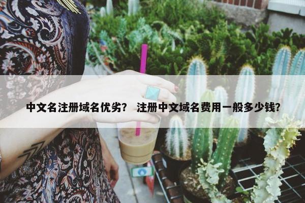 中文名注册域名优劣？ 注册中文域名费用一般多少钱？