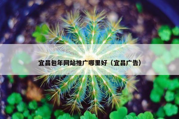 宜昌包年网站推广哪里好（宜昌广告）