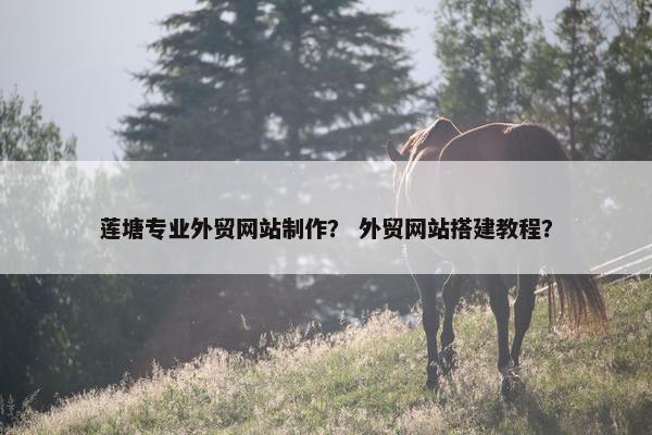 莲塘专业外贸网站制作？ 外贸网站搭建教程？