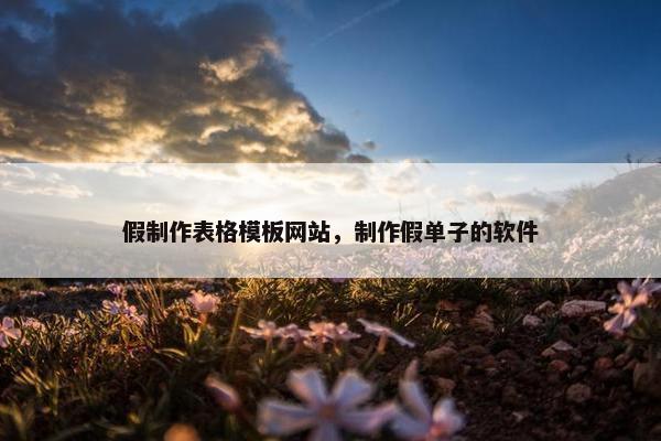 假制作表格模板网站，制作假单子的软件
