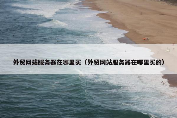 外贸网站服务器在哪里买（外贸网站服务器在哪里买的）